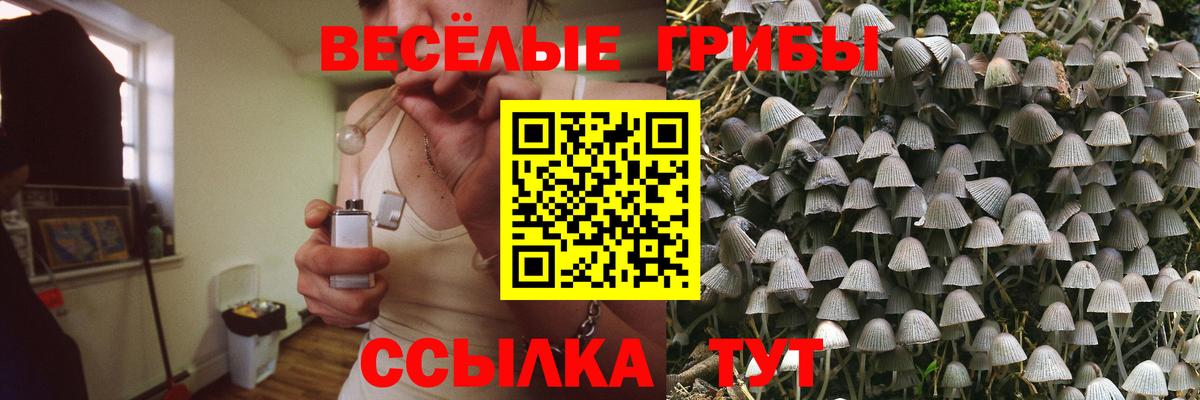 Галлюциногенные грибы Magic Shrooms Корсаков
