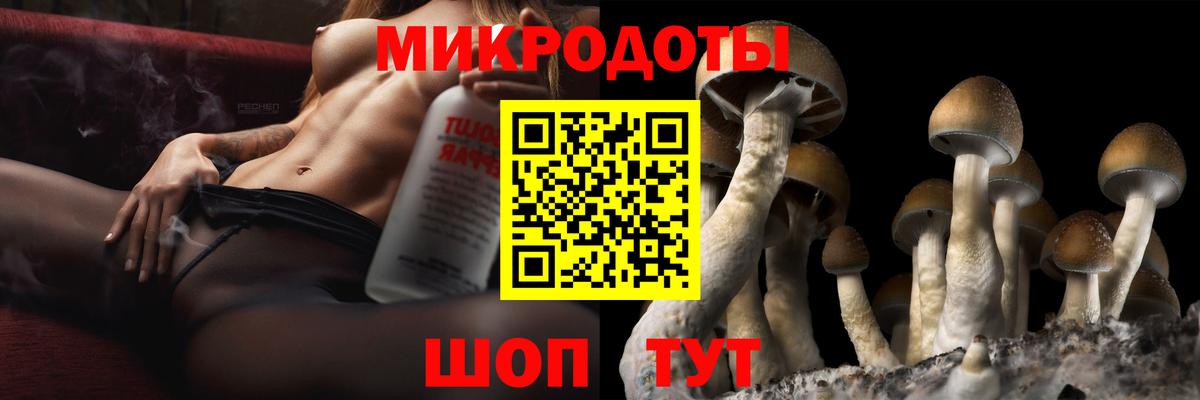 Галлюциногенные грибы Psilocybe  Вход с VPN  Корсаков  Псилоцибиновые грибы мицелий 